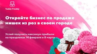 Франшиза Teddy Freddy