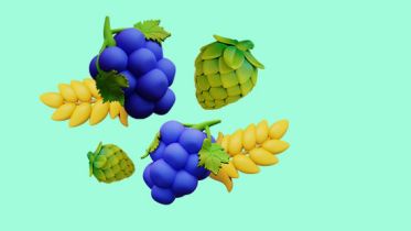Как открыть магазин алкогольной продукции: пошаговая инструкция и примеры франшиз