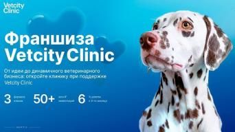 Франшиза Vetcity Clinic