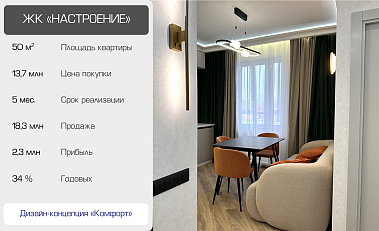 Франшиза в сфере недвижимости «Флиппинг Поинт»