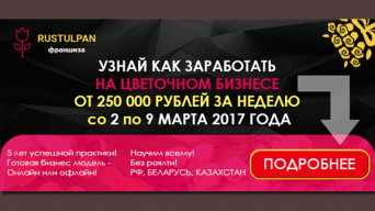 Франшиза Рустюльпан
