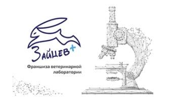 Франшиза Зайцев+