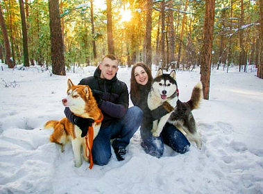 франшиза Podkat условия 2020