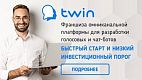 Франшиза Twin — IT-франшиза нового поколения