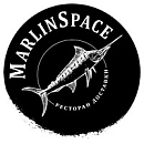 логотип MARLINSPACE