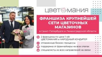 Франшиза Цветомания