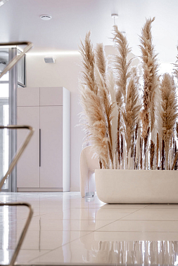 CHINESE HEAD SPA — франшиза салона китайского спа головы