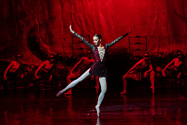 Франшиза любительского балета Amateur Ballet Academy