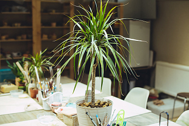 Франшиза гончарной школы «Зарни Ань»