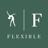 логотип франшизы FLEXIBLE