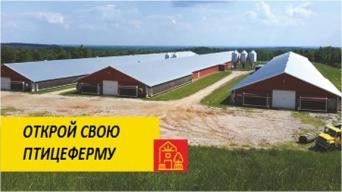 ДомКур Доминант