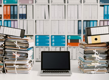 отзывы о франшизе REISSWOLF