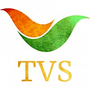 логотип TVS