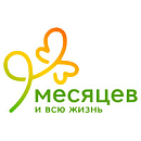 логотип 9 месяцев