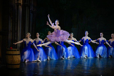 Франшиза любительского балета Amateur Ballet Academy