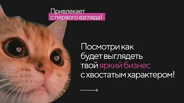 Франшиза магазина зоотоваров «Мокрый нос»