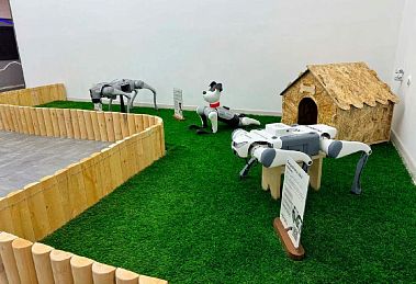 Франшиза магазина роботов Qubot