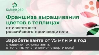 Франшиза КАЛИНКОВО