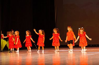 Франшиза академии хореографии «Синергия»