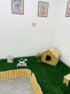 Франшиза магазина роботов Qubot