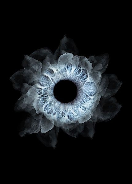 Франшиза фото радужки глаза «Твой взгляд»