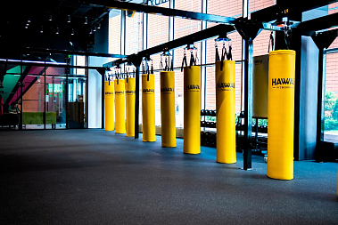 Франшиза фитнес-студии Hawaii Fitboxing