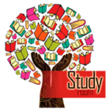 логотип франшизы StudyRoom