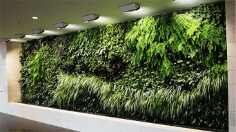 Франшиза GREEN WALL