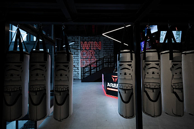 Франшиза киберспортивного клуба T-Arena by Evgeniy Chebatkov