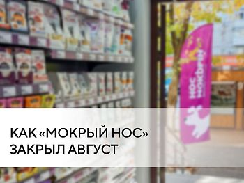 Новые точки, старт экспансии и выступление на отраслевой выставке — как «Мокрый нос» закрыл август