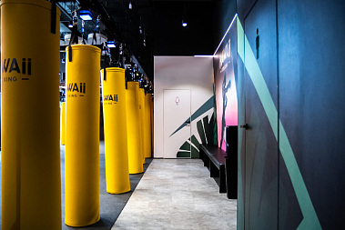 Франшиза фитнес-студии Hawaii Fitboxing