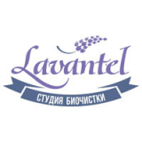 логотип франшизы Lavantel