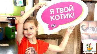 Котики и Люди