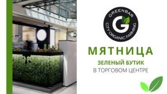 МЯТНИЦА