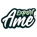 логотип AmeExpert