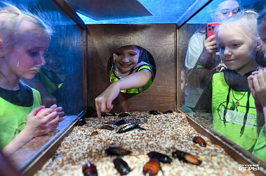 Франшиза квест-шоу «ГОЛОДНЫЕ ИГРЫ»