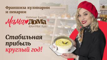 Франшиза МамаДома