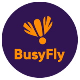 логотип франшизы BusyFly