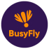 BusyFly