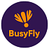 Франшиза BusyFly