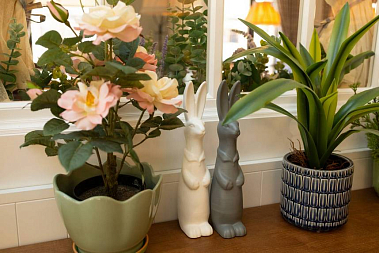 Франшиза сети семейных пиццерий «Сицилия»