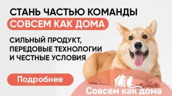 Совсем как дома