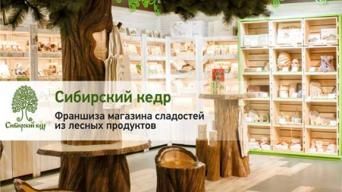 Сибирский кедр