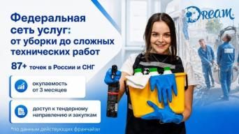 Франшиза DREAM
