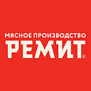 логотип РЕМИТ.Регион