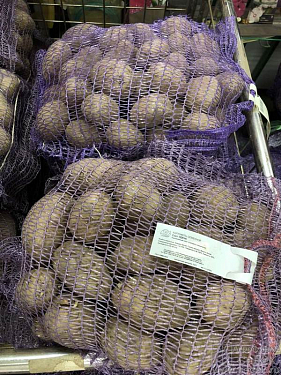 Франшиза федеральной сети магазинов семян «Урожайная грядка»