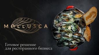 MOLLUSCA