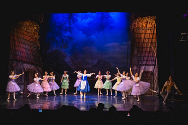 Франшиза любительского балета Amateur Ballet Academy