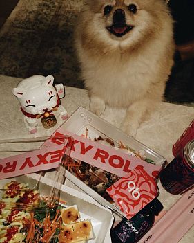 Франшиза доставки суши и роллов «96 азиаток»