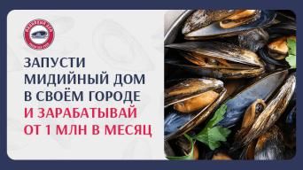 Мидийный дом